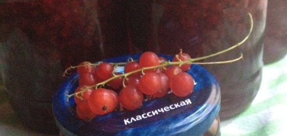 Варенье - пятиминутка Смородиновое трио