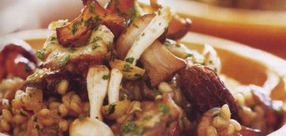 Соус из калины