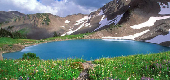 Соус из слив