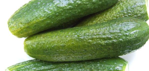 малосольные огурцы к шашлыку