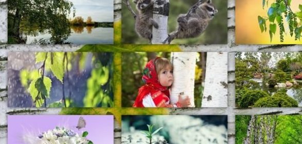 Салат-коктейль из фруктов