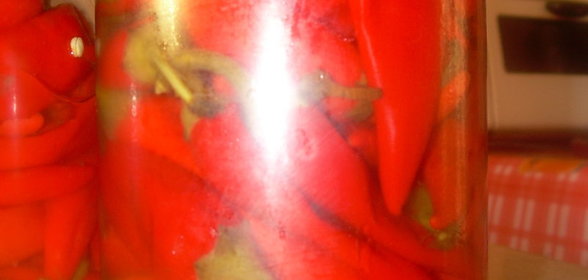 Острые перчики Чили на зиму