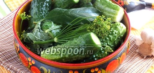 Малосольные корнишоны с пряными травами