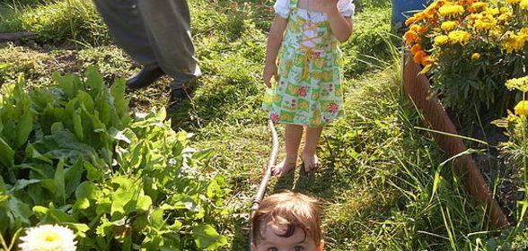 Варенье из жимолости съедобной