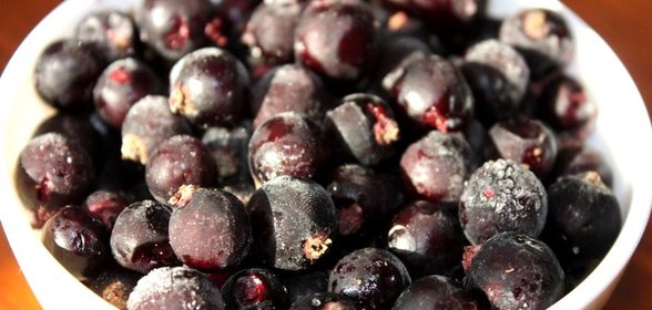 Замороженная черная смородина