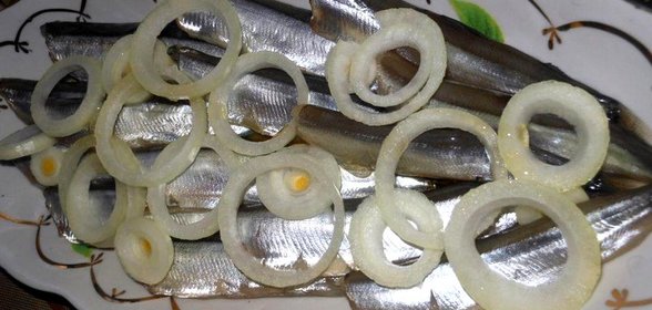 Соленая мойва