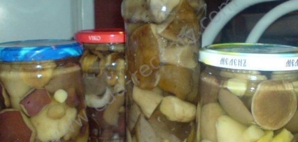 Маринованные подберезовики на зиму