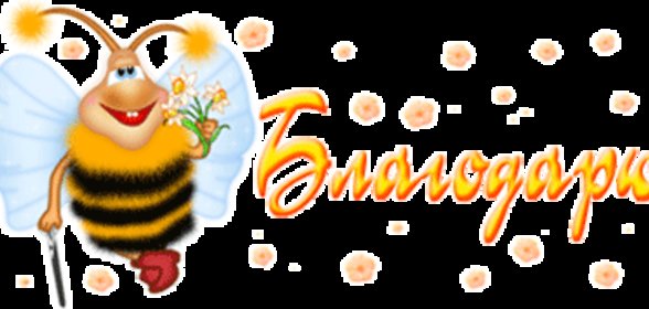 Закуски из сыра