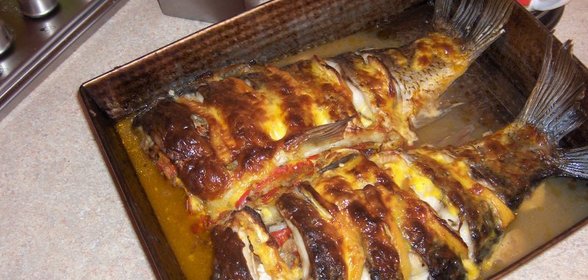 Карп для моих девочек