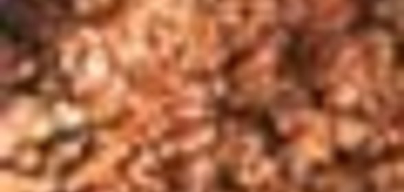 Соус «Болоньез»