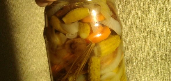 Овощной салат с горькушками /на зиму/