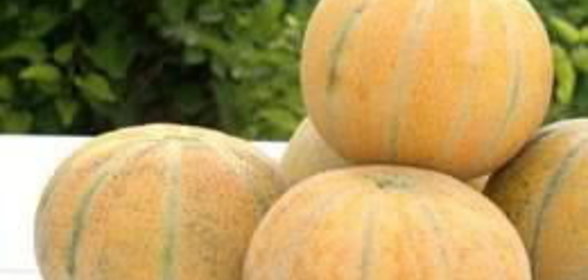 Соус белый с яйцами