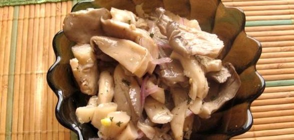 Вешенки по-корейски