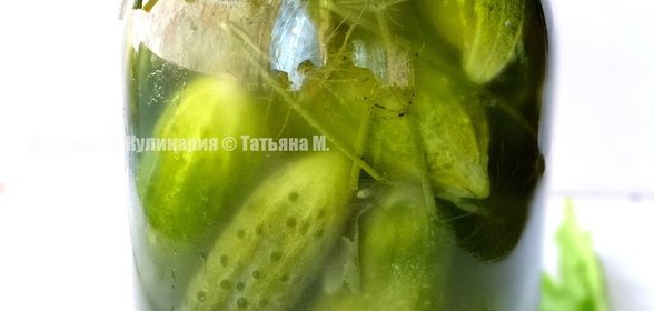 Огурцы соленые на зиму (бабушкин рецепт)