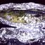 Скумбрия, запеченая с луком и зеленью (ну очень диетический вариант)