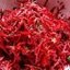 мясо с горчицей в красном вине