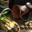 Баклажан с сыром под пиво
