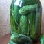 Консервированные огурцы