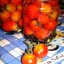 Остренькие черри