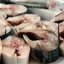 Засолка скумбрии в домашних условиях