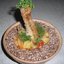 Курица в маринаде Teriyaki