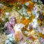 Яичница с ветчиной и сыром