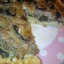 Открытый пирог с грибами, мясом и щавелем
