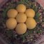 Торт Куриное гнёздышко