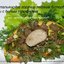 Итальянские летние бутерброды с белым трюфелем