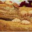 Медовый торт с прослойкой безе