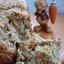 Морковный хлеб с маком От Кролика с приветом
