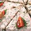 Сырный торт с ветчиной и грибами