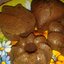 Шоколадные маффины Брауни (упрощенный вариант))