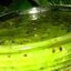 Варенье из крыжовника без воды