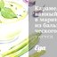 Карамелизованный лук в маринаде из бальзамического уксуса и розмарина