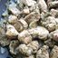 Куриное филе жареное с луком в медовом маринаде