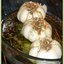 ЧЕСНОК печёный и чесночный соус