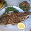 шашлычок из форельки речной