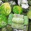 Замороженная капуста на зиму