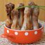 куриные ножки в лимонном пиве