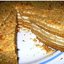 Окуни отварные с яйцами и маслом