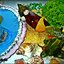 Огурцы и баклажаны малосольные фаршированные