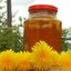 Варенье из одуванчиков