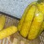 Кукуруза на зиму в початках