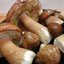 Маринованные белые грибы с чесноком