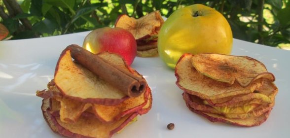 Сушеные яблоки с ароматом корицы