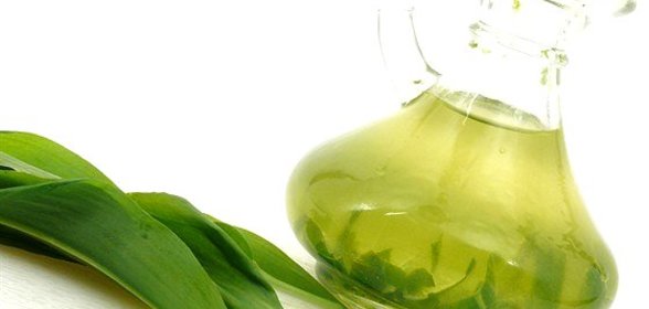 Оливковое масло с черемшой