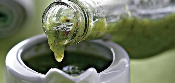 Ткемалевый соус