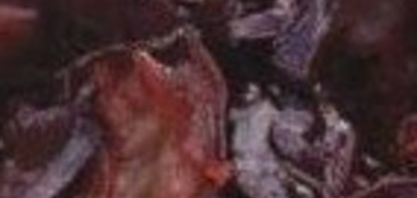 Универсальная приправа