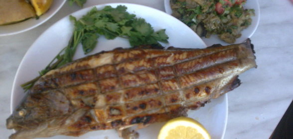 шашлычок из форельки речной